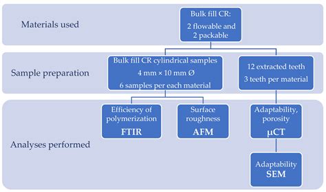 molecules  full text evaluation  efficiency  polymerization