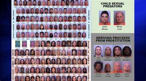 154 Arrested During Undercover Florida Prostitution Human