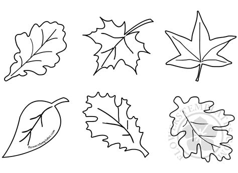 autumn leaf shapes fall leaf flowers templates