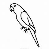 Parrot Pappagallo Macaw Papagei Burung Beo Loro Mewarnai Dibujar Parrots Parakeet Loros Macaws Vertebrate Ausmalbilder Stampare Malvorlage Scarlet sketch template