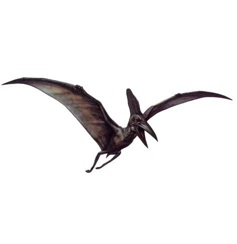pteranodon dino crisis wiki fandom