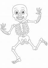 Skelett Skeleton Ausmalbilder Ausmalbild Letzte sketch template