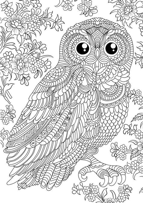 owl coloring pages printable adult coloring pages adult coloring book