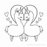 Llama Alpaca Yampuff Lineart Lama Llamas Colorier Getcolorings Alpacas Paginas Valentin Zupa sketch template