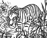 Jungle Book Coloring Pages Tiger Printable Silently Formidable Sneaks Mowgli Raskrasil sketch template