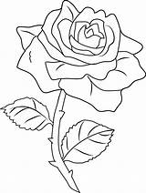 Rose Drawing Line Clipart Transparent Clip Coloring Library Pretty sketch template