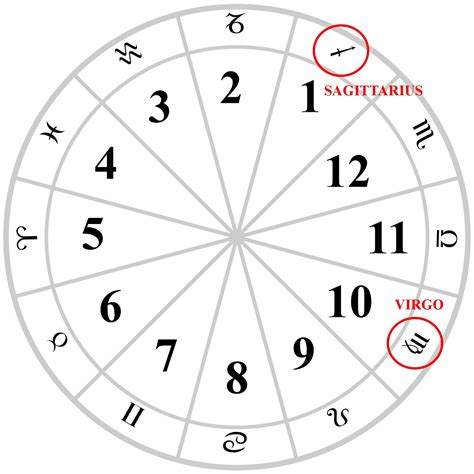 sun signs  astrology   meaning pelajaran