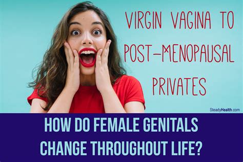 Virgin Vagina To Post Menopausal Privates How Do Female Genitals