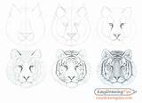 Tiger Step Draw Face Drawing Head Drawings Tutorial Beginner Line Shading Paintingvalley sketch template