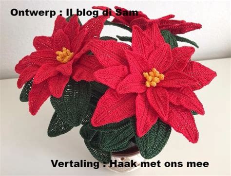 kerstroos crochet flowers gehaakte bloem patronen haken kerst