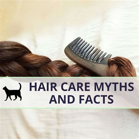hair myths  absolute nonsense