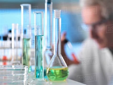 scientist preparing chemical experiment  laboratory stock photo