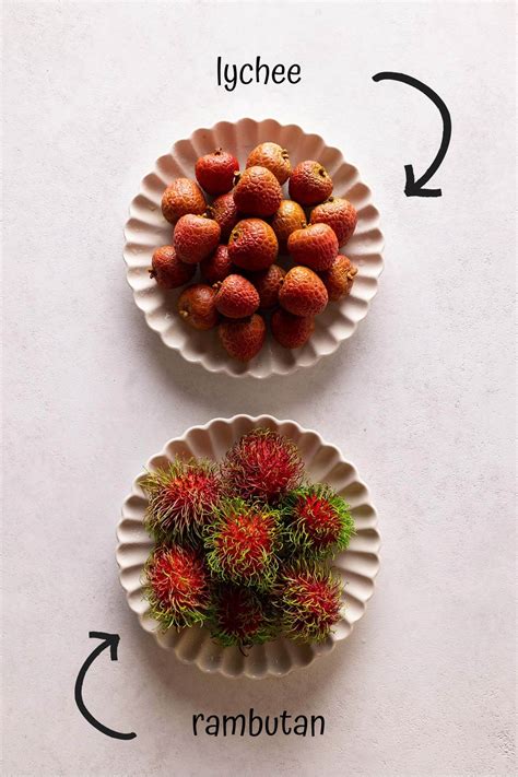 rambutan  lychee  comprehensive comparison guide foodtasia