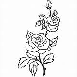 Blumenranken sketch template