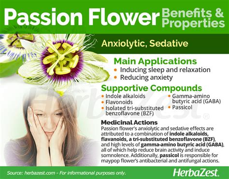 passion flower herbazest