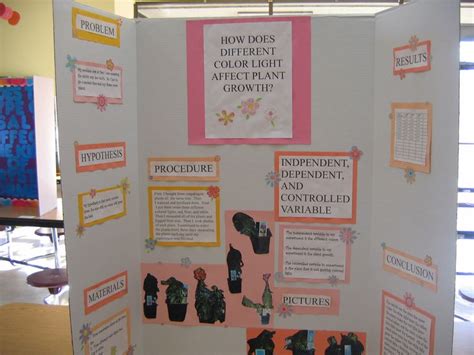 science fair project images  pinterest science projects