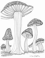 Coloring Mushroom Mushrooms Worms Eye sketch template