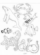 Coloring Pages Life Sea Ocean sketch template