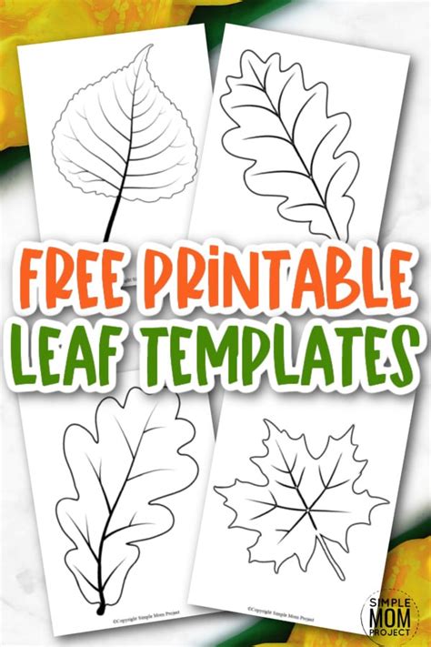printable large leaf templates stencils  patterns simple mom