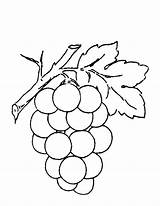 Uvas Uva Cacho Grapes Desenhar Racimo Verdes Tudodesenhos Fruits sketch template