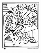 Blossom Colorat Blossoms Primavara Toamna Chinois Planse Colorier P11 Inflorit Copaci Infloriti Ume Cires Chine Desene Cerisier Coloriages Complexe Fleur sketch template