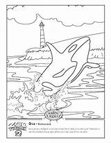 Coloring Whales Pages Whale Blue sketch template