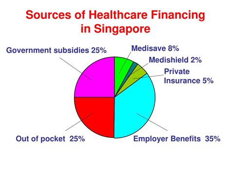 palliative care paid   singapore powerpoint