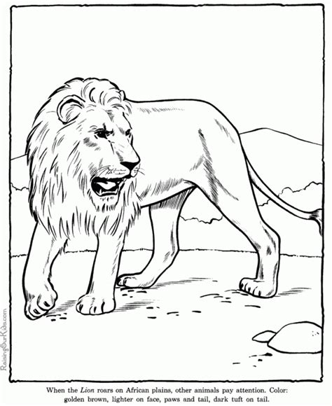printable lion coloring pages everfreecoloringcom