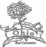 Ohio Coloring State Pages Brutus Buckeye Drawing Flower Carnation Michigan Buckeyes Football Bow Pennsylvania Majorette Msu Color Flag Printable Supercoloring sketch template
