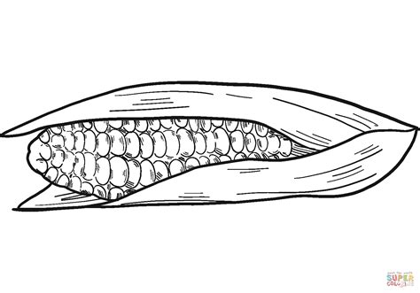 corn  coloring page  printable coloring pages