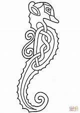 Seahorse Celtic Coloring Pages sketch template