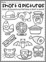 Short Worksheets Cvc Vowel Words Teacherspayteachers Worksheet Grade Color Sold Phonics Kindergarten Subject sketch template