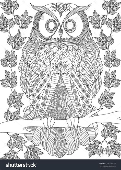 images  owl coloring pages  adults  pinterest