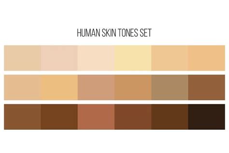 Human Skin Tone Color Palette Set Pre Designed Vector Graphics