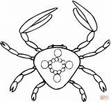Coloring Pages Crab sketch template