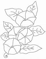 Glory Morning Coloring Flower Leli Getdrawings Pages Template Getcolorings sketch template