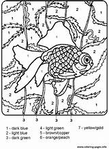 Number Coloring Color Pages Adults Printable Fish Print Prints sketch template