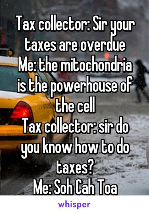 accounting memes images  pinterest funny