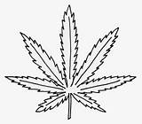 Leaf Weed Coloring Marijuana Hemp Vhv Trippy Coloringonly Cannabis Kindpng sketch template
