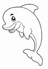Coloring Dolphin sketch template