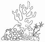 Algas Esponja Corales Marinhas Arrecifes Marinas Esponjas Pintar Seabed Reef Hacer Sirena Tudodesenhos Peyote Childrencoloring Colorier Coralinos Imagenesdepaisajes sketch template