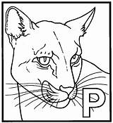 Panthere Pantera Colorir Panteras Panthère Letra Animals Coloriages Designlooter Tudodesenhos sketch template