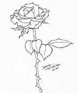 Rose Drawing Tattoo Stem Flower Drawings Template Draw Templates Outline Blooming Drip Getdrawings Paintingvalley Premium sketch template