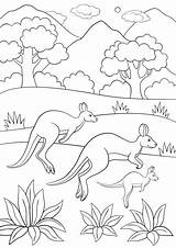 Kangaroo Kangourou Runs Canguro Coloritura Pagine Coloration Famille Smiles Funzionamenti Famiglia Piccolo Bambino Madre sketch template