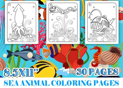 coloring pages  sea animals  preschoolers
