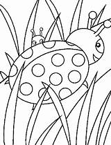 Coloring Grass Pages Ladybug Kids Ladybugs Walking Designlooter Grow Well So 55kb Printable Color Getdrawings Getcolorings sketch template