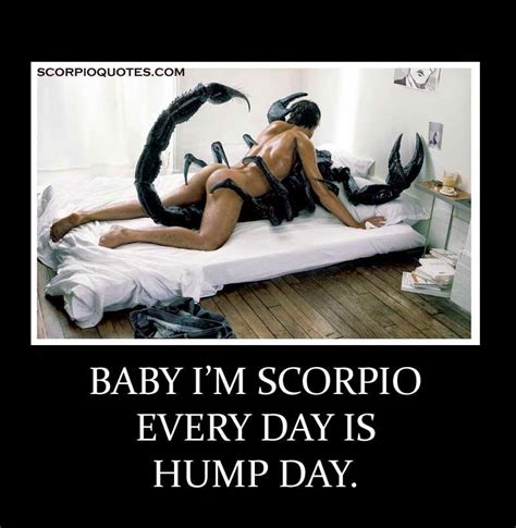 sexy hump day quotes quotesgram