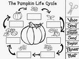 Pumpkin Coloring Preschool Teacherspayteachers Paste sketch template
