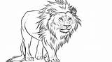 Lion Draw Face Body Drawing Kids Easy Coloring Pages Simple Beginners Guide sketch template