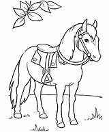 Horse Pages Coloring Draft Getcolorings sketch template
